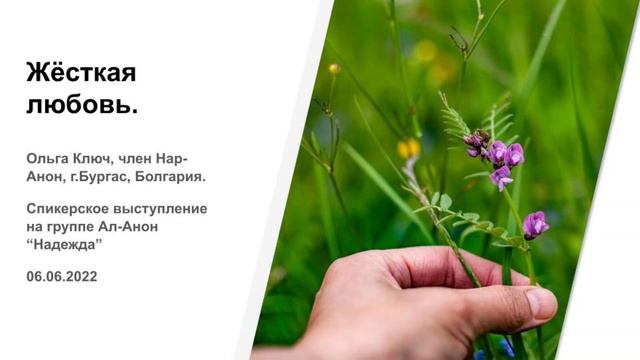 Ольга Ключ г.Бургас, Болгария. Жесткая любовь. Спикерское выступление на группе Ал-Анон “Надежда” смотреть онлайн