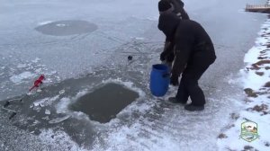 В наш водоем прибыло! Третья волна зарыбления форелью, Академия Отдыха, Красноселка, Одесская обл.