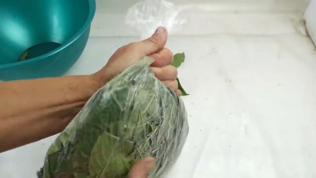 Польза и ферментация листьев вишни  - The benefits of cherry leaves