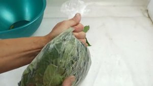 Польза и ферментация листьев вишни  - The benefits of cherry leaves