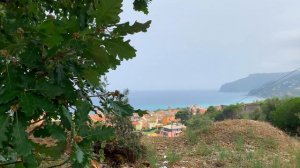 Звук стрекотания цикад / Sounds of the Cicada