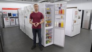 Холодильник Beko Blue Light CNMV5335EA0W – обзор модели