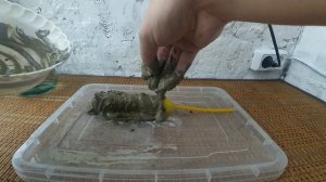 Грот для сомов своими руками