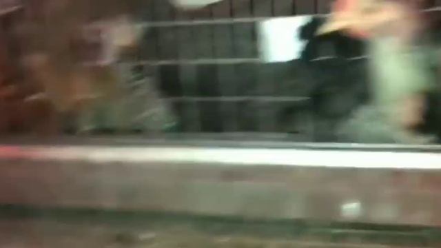 содержание кур несушек смотреть онлайн