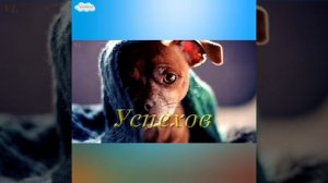 С Днём Рождения🥰