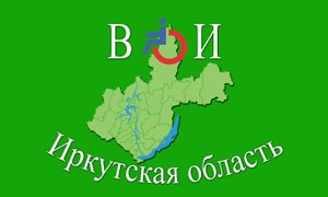 Деятельность ИРО ВОИ