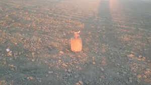 поджигаем мешок селитры