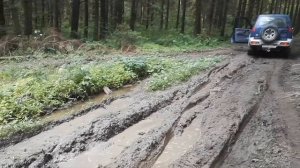 Легкий off-road с лысой резиной на стоковом Nissan Terrano 2 R20. Осторожно мат!