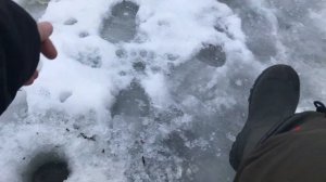 окунь на карюлю с этой приманкой без окуня не останешься