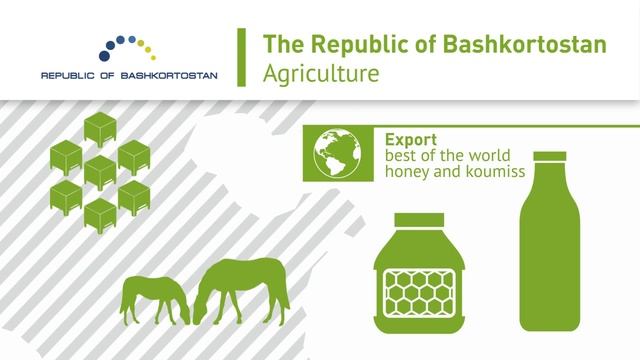 Разработка интерактивной видеопрезентации для ТПП Республики Башкортостан. смотреть онлайн