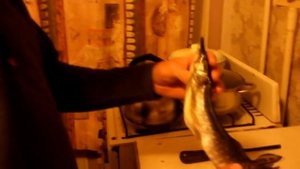 Таранка из щуки