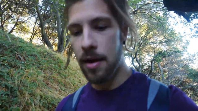 May The Forest Bathe With You (Biohacking Shinrin-Yoku) смотреть онлайн