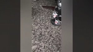 Arçelik K 3300 Mini Telve Beyaz Türk Kahve Makinesi Kutu Açılımı Ve İnceleme