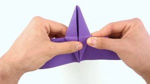 Origami Halloween Bat - Instructions in English (BR)