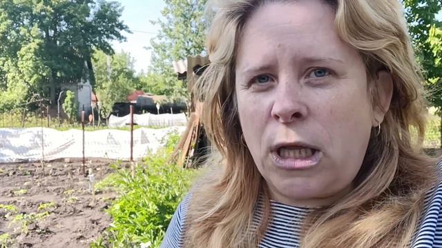 Влог Ура у меня свет! На даче делаем дела. Знакомства с новым другом🐕. #реальнаяжизнь
