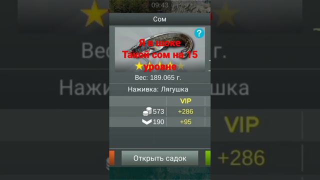 my fishing world мега сом