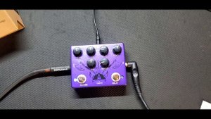 Review & Demo: Caline Ragnarok Delay & Reverb Effects pedal!! Sharp Purple, does it make it Rain??