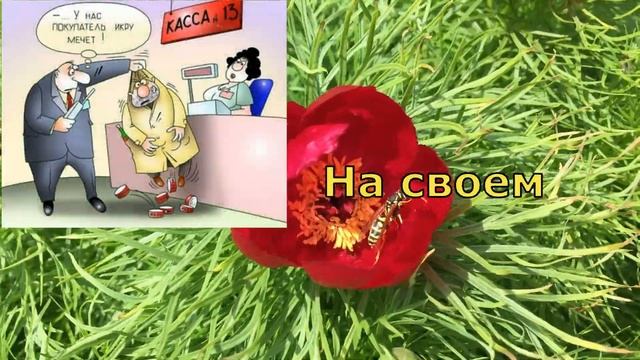 С Днем Торговли! Прикольное поздравление С Днем работников торговли! с днем торговли поздравления