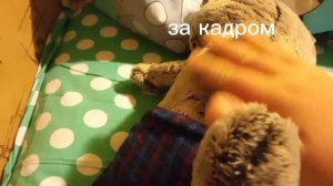 О том как Басик ложится спать
