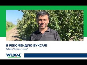 Некорневое питание с Вуксал/Первые урожаи летних яблок/Яблоневые сады