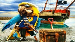 Попугай. Стихи для детей