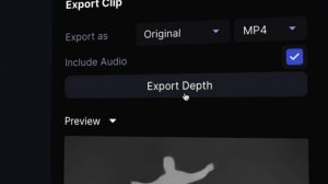 ProExports: Measure Depth and Movement of Any Video