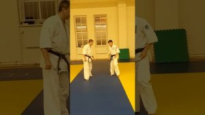 Техника 8 кю. Ката Кихон-но-ката-соно-ичи