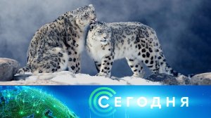 «Сегодня»: 28 августа 2024 года. 08:00 | Выпуск новостей | Новости НТВ