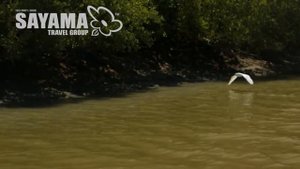 Экскурсии Хуа Хина. Национальный парк Сам Рой Йот и гора Кхао Дан