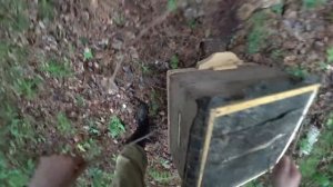 Рыбалка на бутылки | Лесная изба | Ставим ловушки | Линёк в муке