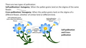 Reproduction in Plants Part 2 ll Class 7 Science ll Chapter 12