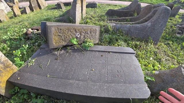 Зачем ХАСИДЫ едут в Бердичев? | Древнее еврейское кладбище | Ответы на неудобные вопросы о евреях смотреть онлайн