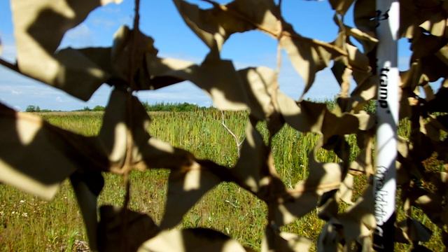 Масксетка смотреть онлайн