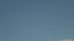 Volantex TrainStar Ascent Joy Flight RC Trainer Plane Aircraft ascent 747-8