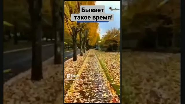 ? Бывает такое время!   Исполняет автор, Светлана Белякова.