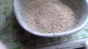 Рацион кормления кур (Кучинская Юбилейная)