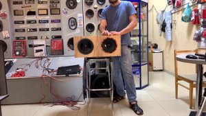 Многим был интересен такой динамик. Недорогой гибрид мидбасов и эстрады. DL Audio PRO 200 Midbass