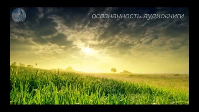 Радикальное прощение Медиатция по освобождению внутреннего ребенка смотреть онлайн