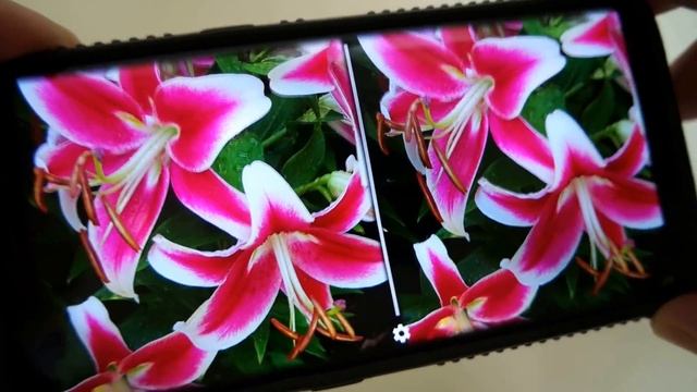 3D/VR Stereo Photo Viewer Zoom Demo смотреть онлайн