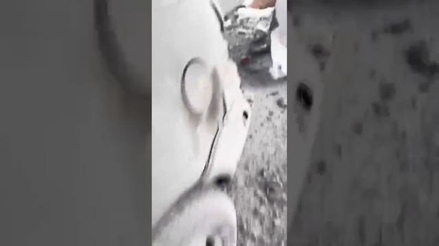 ??⚡Артиллерия «Вагнера» накрыла расположение личного состава и автотранспорта ВСУ в Бахмуте.⚡