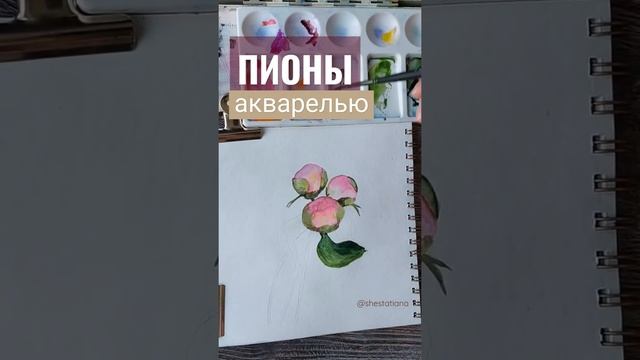 РИСУЕМ АКВАРЕЛЬЮ | HANDDRAWING | PEONY | Пионы. Простой скетч #мастеркласс #diy  #watercolor #art