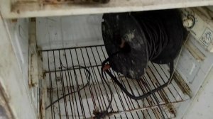 Пруд, 26.11.22 Насыщение Воды Кислородом