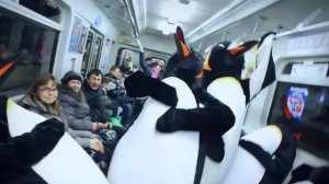 Пингвины окупировали метро