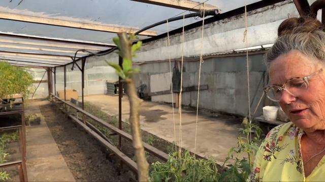 О взаимоотношениях продавца и покупателя живых растений ? смотреть онлайн