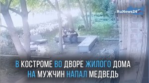 В Костроме во дворе жилого дома на отдыхавших мужчин напал медведь