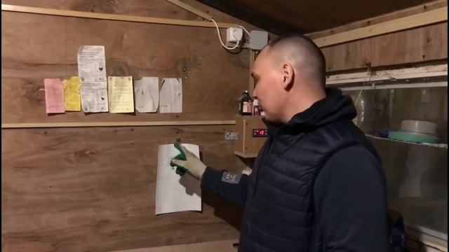 Заработать на несушках? Рентабельность Декалб Уайт