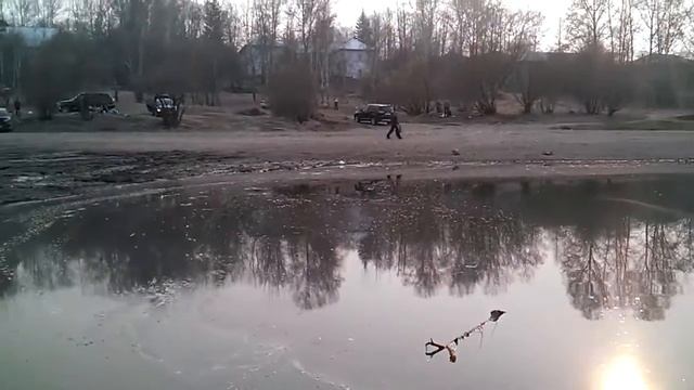 Ондатра вертит хвостом смотреть онлайн