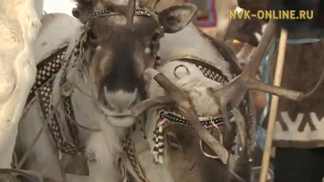 Сегодня в Якутске выберут лучшую кочевую семью смотреть онлайн