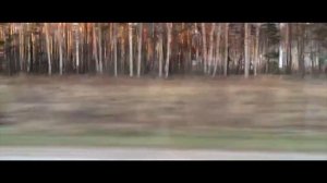 BMW 344i M62b44 (E36) vs 535d (E60) Drag; zhmuraTV
