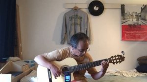 Lady Madonna (Fingerstyle guitar)